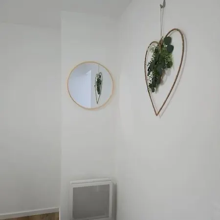 302 - 2 Pieces Equipe A Apartment Strasbourg